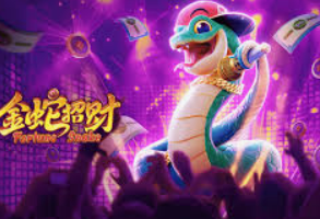 大小单双导师带赚包赔客户端