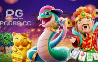 大小单双导师带赚包赔电脑免费版