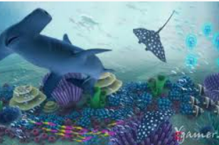 大小单双导师带赚包赔正式版