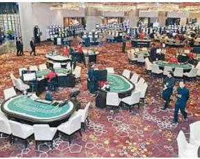 大小单双导师带赚包赔2024最新版